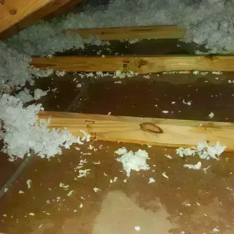 Attic Water Damage in Long Prairie, MN