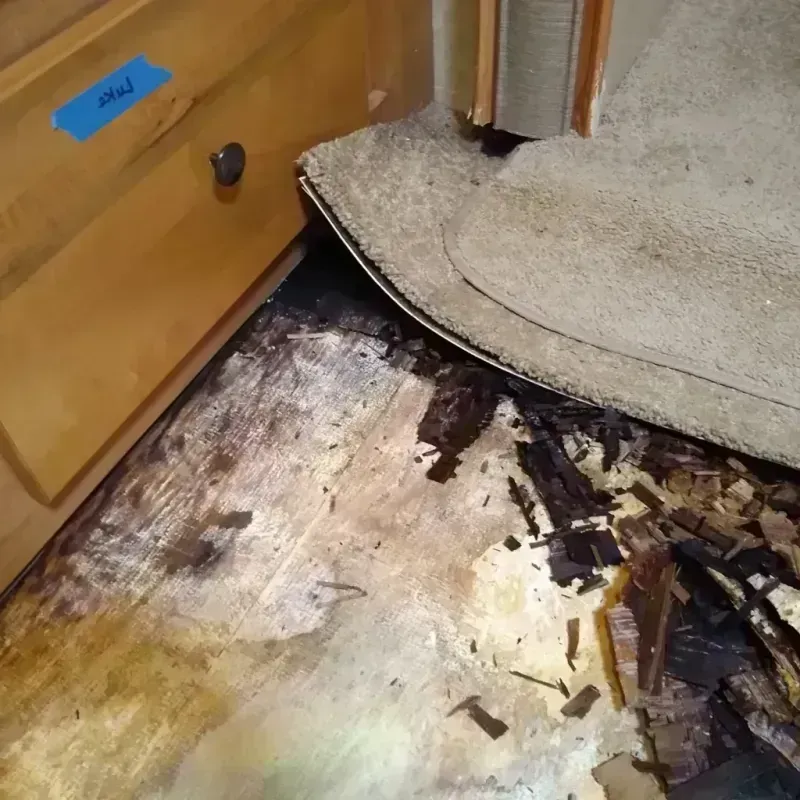 Wood Floor Water Damage in Long Prairie, MN